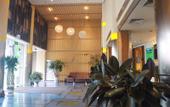 Туры в отель Homeinn Plus Hotel (Nanjing Railway Station Xuanwu Lake) Туры в отель Homeinn Plus Hotel (Nanjing Railway Station Xuanwu Lake)