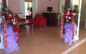 Туры в отель SHUANG LIN Hotel (Xi'an Jingwei Industrial Park) Туры в отель SHUANG LIN Hotel (Xi'an Jingwei Industrial Park)