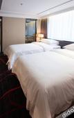 Туры в отель Venus Royal Hotel (Guilin Elephant Trunk Hill Sun and Moon Twin Towers) Туры в отель Venus Royal Hotel (Guilin Elephant Trunk Hill Sun and Moon Twin Towers)