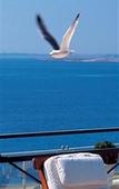 Туры в отель Le Meridien Туры в отель Le Meridien