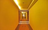 Туры в отель Golden Horse Fashion Hotel (Shenzhen Grand Theatre) Туры в отель Golden Horse Fashion Hotel (Shenzhen Grand Theatre)