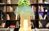 Туры в отель Qianhaiwan Boutique Hotel (Shenzhen Qianhai Free Trade Zone) Туры в отель Qianhaiwan Boutique Hotel (Shenzhen Qianhai Free Trade Zone)