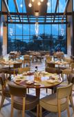 Туры в отель Le Meridien Al Aqah Beach Resort Туры в отель Le Meridien Al Aqah Beach Resort