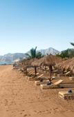 Туры в отель Le Meridien Al Aqah Beach Resort Туры в отель Le Meridien Al Aqah Beach Resort