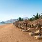 Туры в отель Le Meridien Al Aqah Beach Resort, оператор Anex Tour