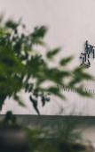 Туры в отель Hangzhou Chunyin Chunshan Hotel Туры в отель Hangzhou Chunyin Chunshan Hotel