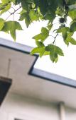 Туры в отель Hangzhou Chunyin Chunshan Hotel Туры в отель Hangzhou Chunyin Chunshan Hotel