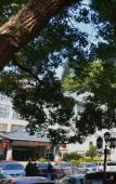 Туры в отель Fuzhou Juchunyuan Yushan Hotel Туры в отель Fuzhou Juchunyuan Yushan Hotel