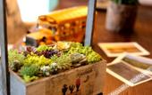 Туры в отель Xuanlan Xiaozhu Holiday Hostel Туры в отель Xuanlan Xiaozhu Holiday Hostel