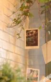 Туры в отель Xuanlan Xiaozhu Holiday Hostel Туры в отель Xuanlan Xiaozhu Holiday Hostel