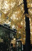 Туры в отель Xuanlan Xiaozhu Holiday Hostel Туры в отель Xuanlan Xiaozhu Holiday Hostel