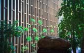 Туры в отель Floral Hotel·Bilian hotel (Longsheng Bus Station) Туры в отель Floral Hotel·Bilian hotel (Longsheng Bus Station)