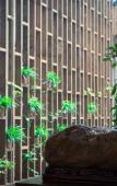 Туры в отель Floral Hotel·Bilian hotel (Longsheng Bus Station) Туры в отель Floral Hotel·Bilian hotel (Longsheng Bus Station)