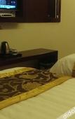 Туры в отель Aoyou Esports Hotel (Shanghai Lujiazui) Туры в отель Aoyou Esports Hotel (Shanghai Lujiazui)
