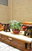 Туры в отель 0576 Business Hotel Туры в отель 0576 Business Hotel
