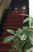 Туры в отель TongTai Preferred Hotel Туры в отель TongTai Preferred Hotel