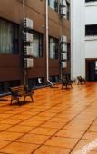 Туры в отель Junwei Hotel Туры в отель Junwei Hotel