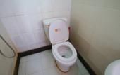 Туры в отель Shanghai Lixiang Hotel (Shuichan Road Subway Station) Туры в отель Shanghai Lixiang Hotel (Shuichan Road Subway Station)