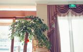 Туры в отель GreenTree Inn (Shaoxing Paojiang New Area Shop) Туры в отель GreenTree Inn (Shaoxing Paojiang New Area Shop)