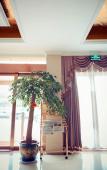 Туры в отель GreenTree Inn (Shaoxing Paojiang New Area Shop) Туры в отель GreenTree Inn (Shaoxing Paojiang New Area Shop)