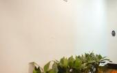 Туры в отель GreenTree Inn (Shaoxing Paojiang New Area Shop) Туры в отель GreenTree Inn (Shaoxing Paojiang New Area Shop)