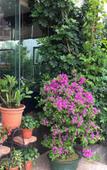 Туры в отель Meilin Holiday Hotel Туры в отель Meilin Holiday Hotel