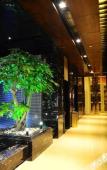 Туры в отель Fuyu Hotel Туры в отель Fuyu Hotel