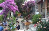 Туры в отель Sean’s Guesthouse Туры в отель Sean’s Guesthouse