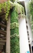 Туры в отель Poly Phoenix Hotel Туры в отель Poly Phoenix Hotel