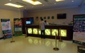 Туры в отель GreenTree Inn on Provincial Tumor Hospital of Hefei Business Hotel Туры в отель GreenTree Inn on Provincial Tumor Hospital of Hefei Business Hotel