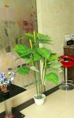 Туры в отель Jinjia Hotel Туры в отель Jinjia Hotel