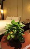 Туры в отель The Tophams Hotel Suez Туры в отель The Tophams Hotel Suez