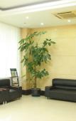 Туры в отель Home Inn Neo (Shanghai Wujiaochang Changhai Hospital) Туры в отель Home Inn Neo (Shanghai Wujiaochang Changhai Hospital)