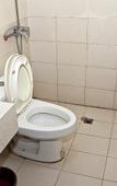 Туры в отель Qingji Hotel (Shanghai Songjiang Railway Station) Туры в отель Qingji Hotel (Shanghai Songjiang Railway Station)