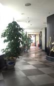 Туры в отель Haitong Hotel (Fuzhou Three Lanes and Seven Alleys) Туры в отель Haitong Hotel (Fuzhou Three Lanes and Seven Alleys)