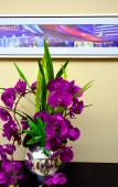Туры в отель City Comfort Inn (Wuhan Happy Valley) Туры в отель City Comfort Inn (Wuhan Happy Valley)