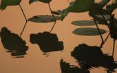 Туры в отель Homeinn · neo (Hangzhou West Lake Xindian) Туры в отель Homeinn · neo (Hangzhou West Lake Xindian)
