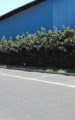 Туры в отель GreenTree Inn (Shanghai Jiangyue Road Metro Station) Туры в отель GreenTree Inn (Shanghai Jiangyue Road Metro Station)