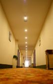 Туры в отель GreenTree Inn (Xinzhougucheng Jianshe South Road) Туры в отель GreenTree Inn (Xinzhougucheng Jianshe South Road)