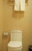 Туры в отель Yixuan Hotel (Langfang Sixth Street People's Park West Square Branch) Туры в отель Yixuan Hotel (Langfang Sixth Street People's Park West Square Branch)