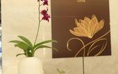 Туры в отель qingtian HOTEL Туры в отель qingtian HOTEL
