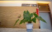 Туры в отель Shanghai Shenhong Inn Туры в отель Shanghai Shenhong Inn