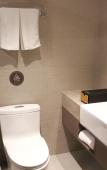 Туры в отель Homeinn Plus Hotel (Shanghai Lujiazui Yushan Road Yuanshen Sports Center Subway Station) Туры в отель Homeinn Plus Hotel (Shanghai Lujiazui Yushan Road Yuanshen Sports Center Subway Station)