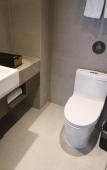 Туры в отель Homeinn Plus Hotel (Shanghai Lujiazui Yushan Road Yuanshen Sports Center Subway Station) Туры в отель Homeinn Plus Hotel (Shanghai Lujiazui Yushan Road Yuanshen Sports Center Subway Station)