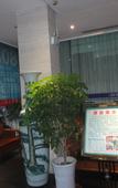 Туры в отель Qingjiang Express Hotel Туры в отель Qingjiang Express Hotel