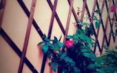 Туры в отель Guilin Huayi Liubai Inn (Liangjiang Sihu Branch) Туры в отель Guilin Huayi Liubai Inn (Liangjiang Sihu Branch)