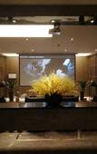 Туры в отель Puju Hotel Туры в отель Puju Hotel