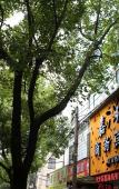 Туры в отель Shaoxing Xinyuan Hotel (Lu Xun's Hometown Cangqiao Straight Street Branch) Туры в отель Shaoxing Xinyuan Hotel (Lu Xun's Hometown Cangqiao Straight Street Branch)