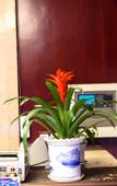 Туры в отель Luyue Family Hotel Туры в отель Luyue Family Hotel