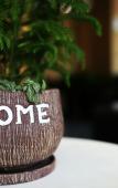 Туры в отель Pebble Motel (Guangzhou Conghua Street North Highway Intersection) Туры в отель Pebble Motel (Guangzhou Conghua Street North Highway Intersection)